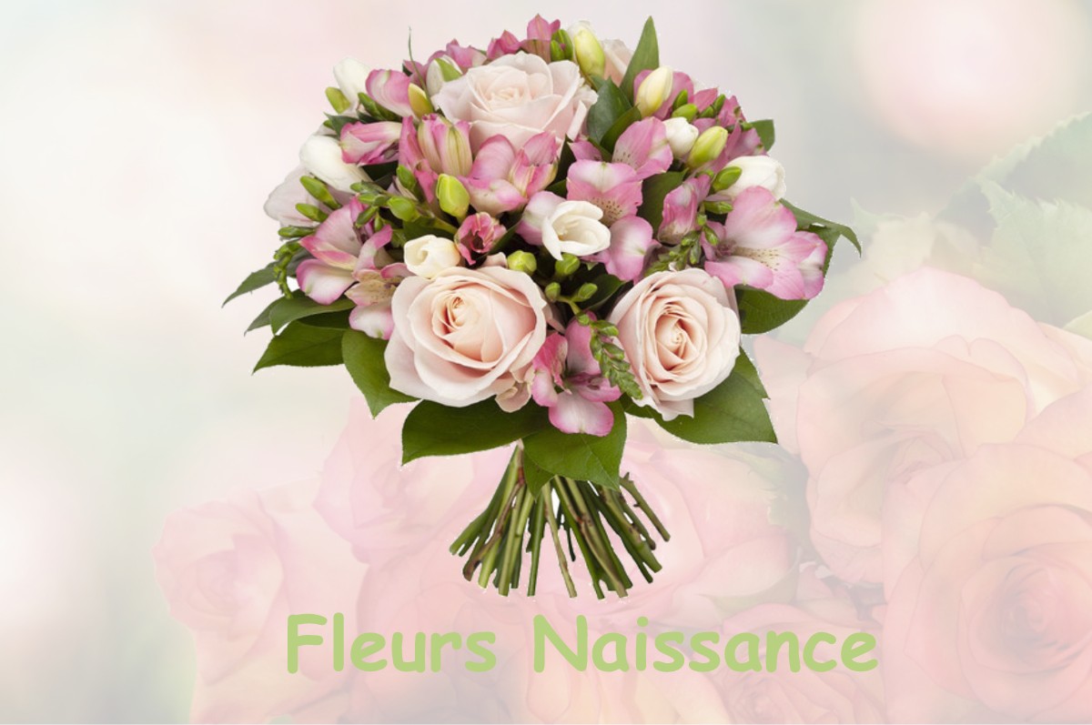 fleurs naissance SAILLY-FLIBEAUCOURT